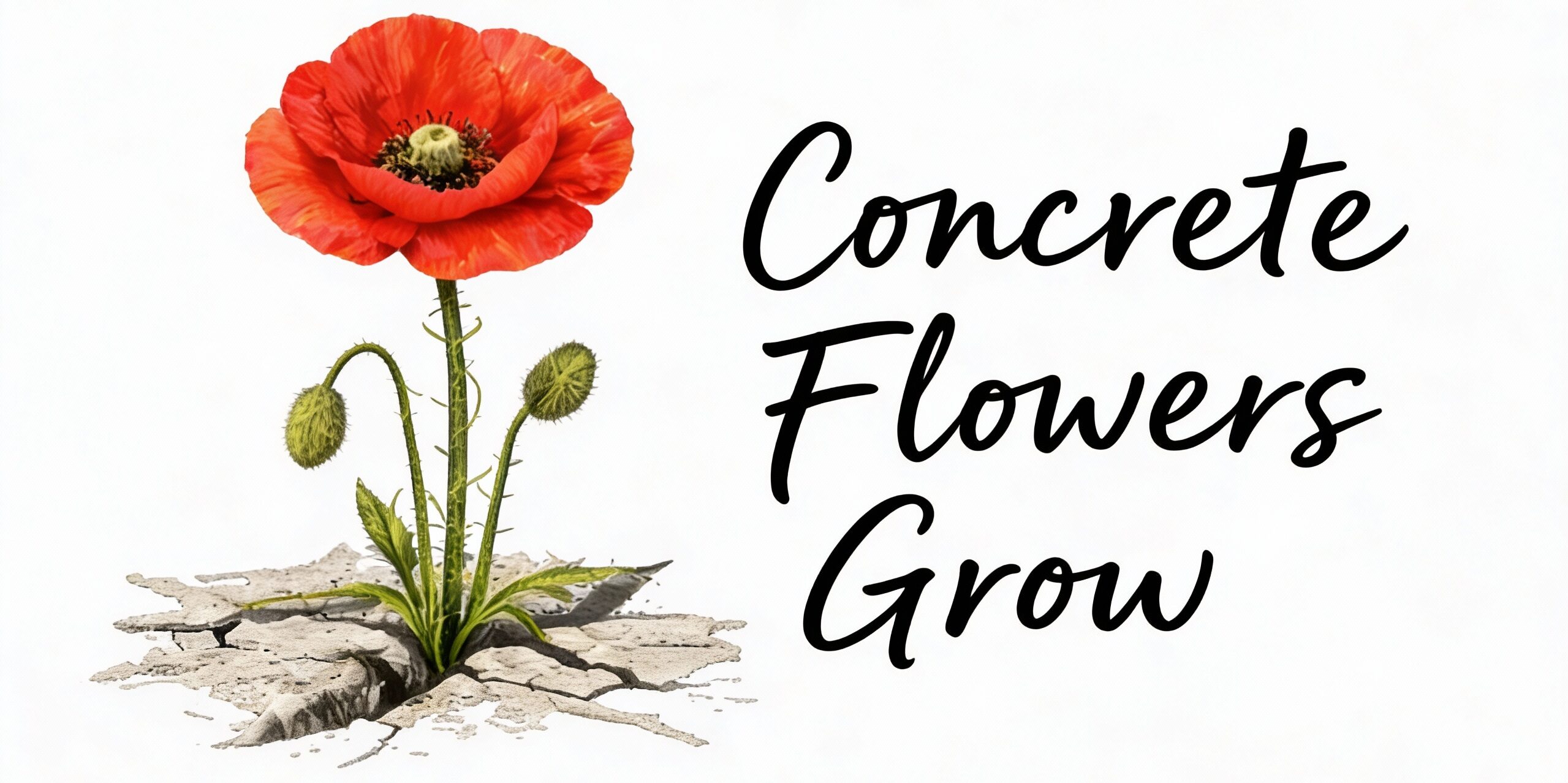 Concrete Flowers Grow